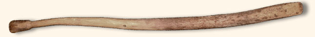 Wooden digging stick (replica).