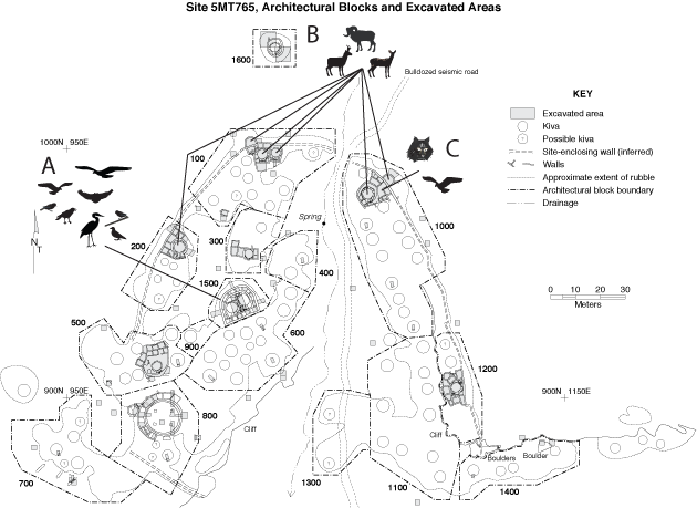 Chapter 5, Faunal Remains, Figure 5