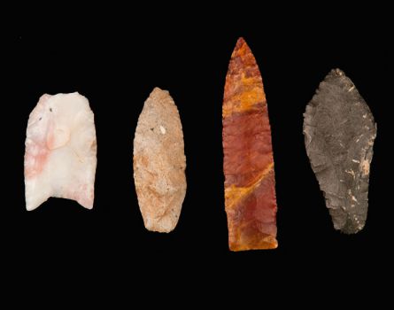 Paleoindian projectile points